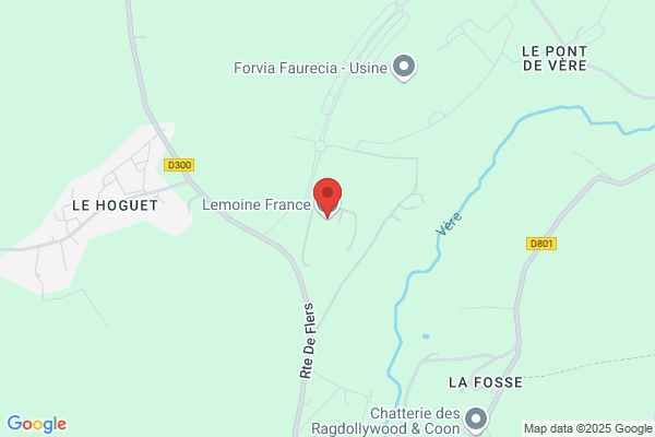 Lemoine M & Co