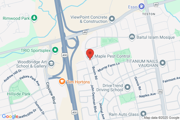 Pest Control Markham - Maple Pest Control