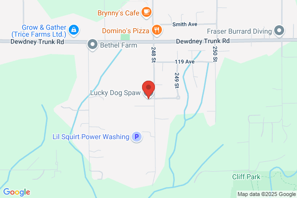 Canine Connection Grooming