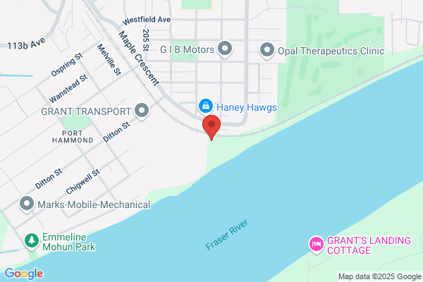 International Forest Products Ltd, Hammond Cedar