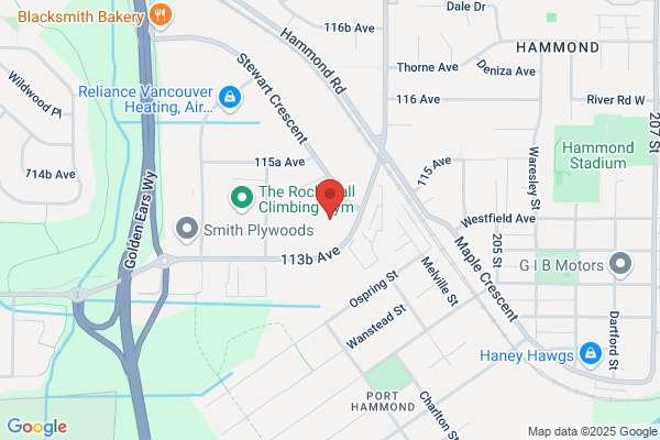 Roto-Rooter Plumbing & Water Cleanup