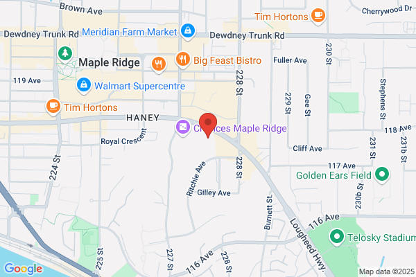 Budget Brake & Muffler, Langley