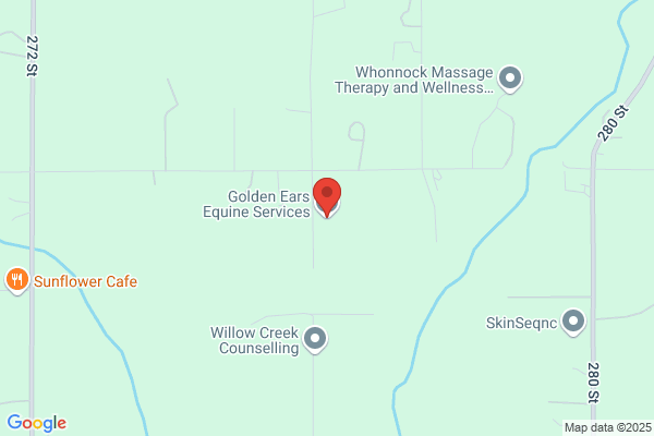 Golden Ears Equine Services