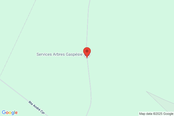 Services Arbres Gaspésie