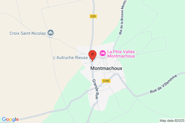 Autruche Doree