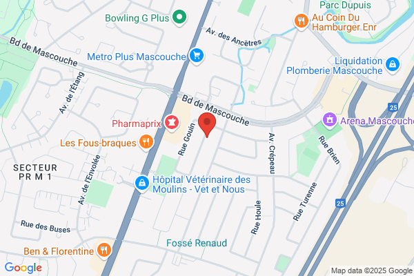 Informatique Technopro Alfa Inc