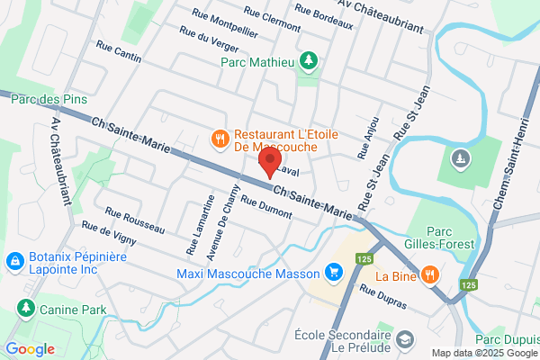 Studio Canin De Mascouche Enr