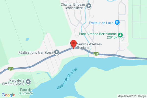 Service d'Arbres Benjamin