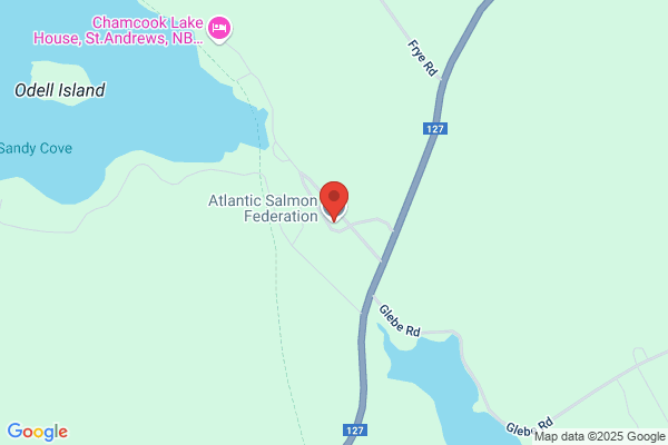 Atlantic Salmon Federation