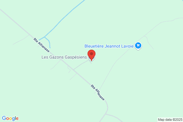 Gazons Gaspesiens