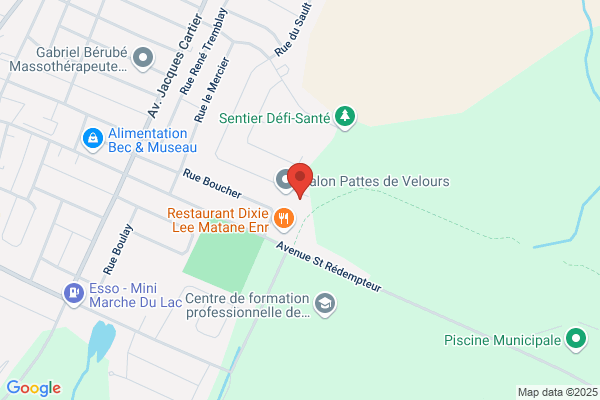 Sécurité G.S. inc.