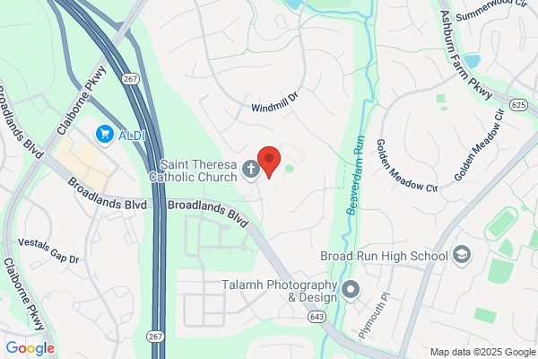 Saint Theresa's Religious Formation