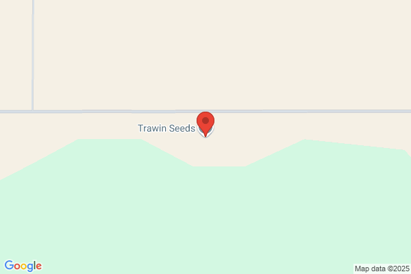 Trawin Seeds