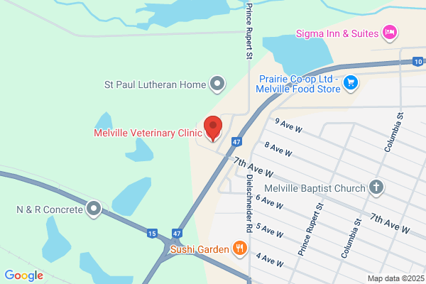 Cochrane Dale Dr Veterinarian