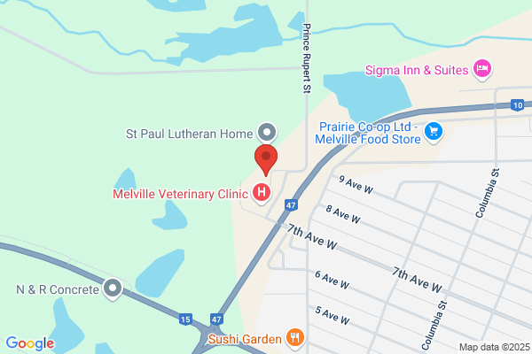St Peter's Hospital Lifeline