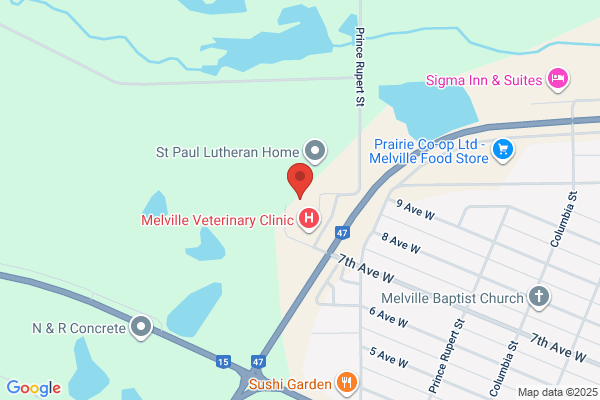 Sunrise Health Region, Community Occupational Therapist