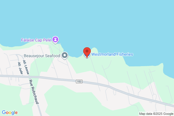 Darro Seafoods Inc