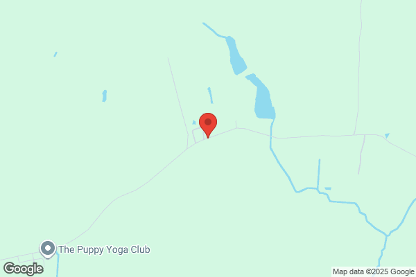 Top Dog Fire Protection Ltd