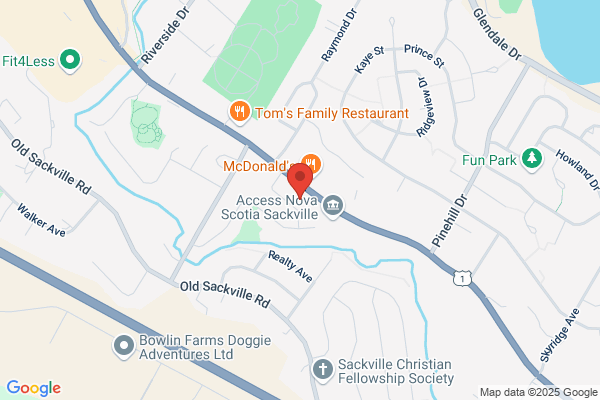 Napa Auto Parts