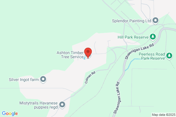Ashton Timber Tree Service
