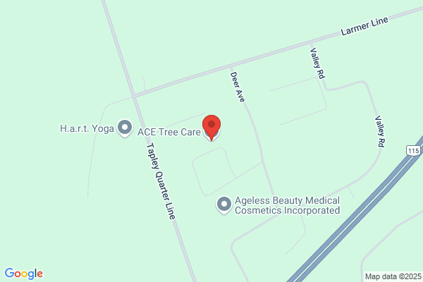 A C E Tree Care