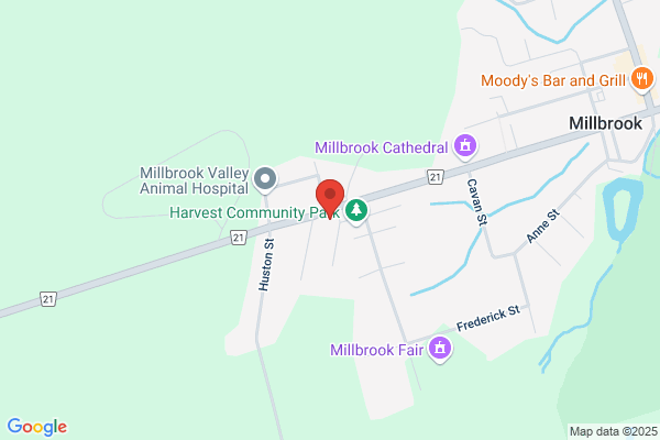 Millbrook Dental