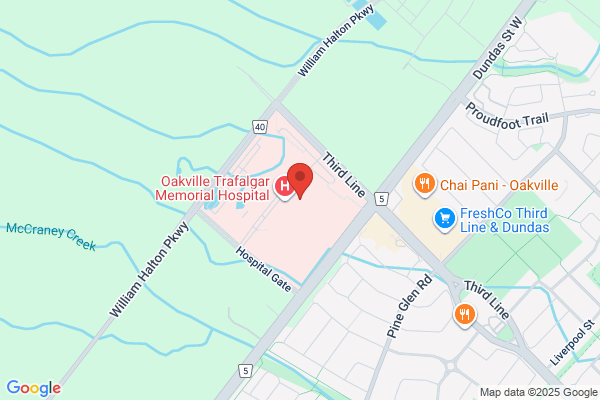 Halton Healthcare Services, Administration
