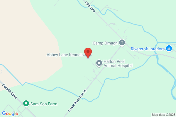 Century Kennels
