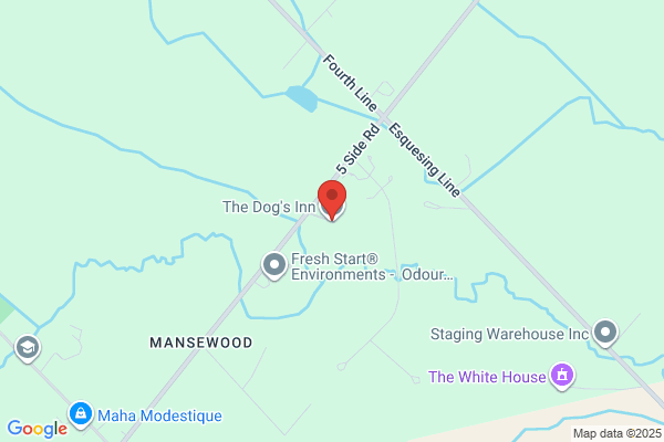The Dog's Inn