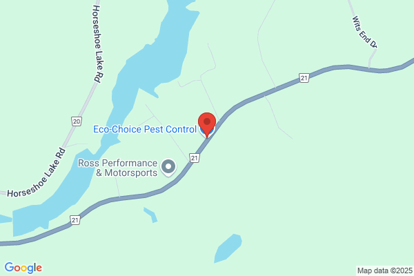 Eco-Choice Pest Control