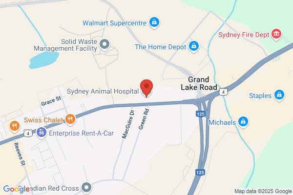 Sydney Animal Hospital