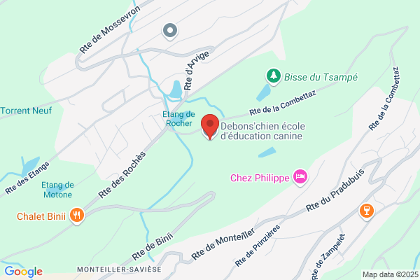 Ecole De Dressage Maurice Bernard