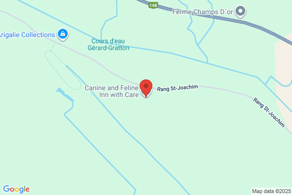 Auberge Canine et Féline aux Petits Soins