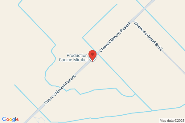 Centre De Protection Canine Mirabel Enr