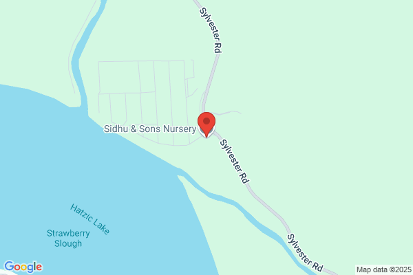 Sidhu & Sons Nursery