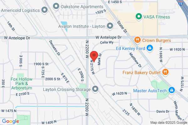 Andy's Tree Service & Stump Grinding