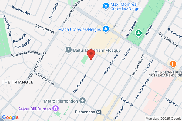 Commission Scolaire De Montreal, Ecoles Primaires, Lucille Tesdale
