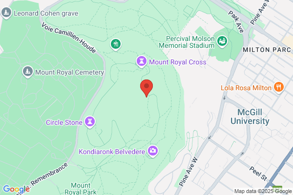 Maslaton Solly Ing-Conseil