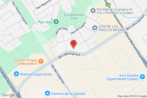 Alliance Des Professionnels Et Professionnelles De L
