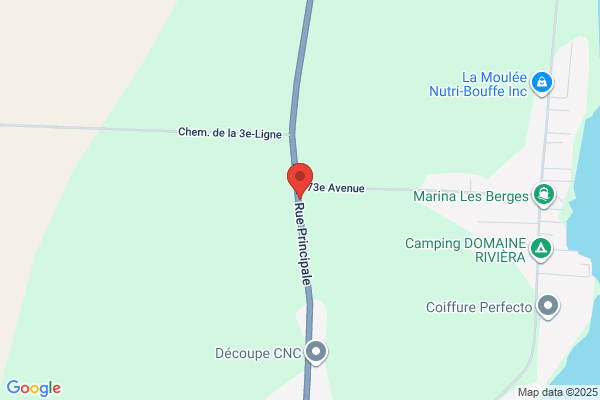 Puce Du Haut-Richelieu