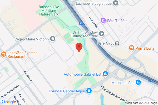 Academie Louis Pasteur