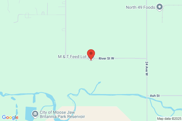 M & T Feed Lot Ltd