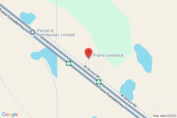 Prairie Livestock Farm