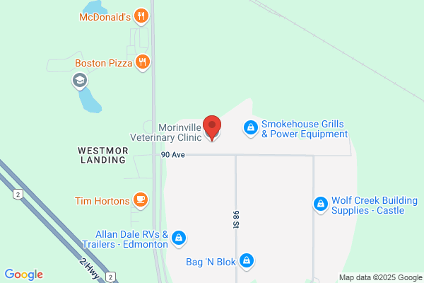 Morinville Veterinary Clinic