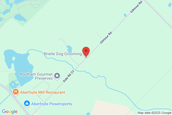 Brielle Dog Grooming