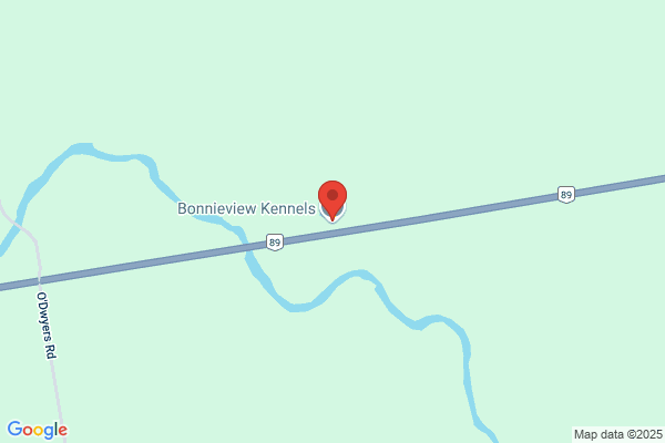 Bonnieview Kennels