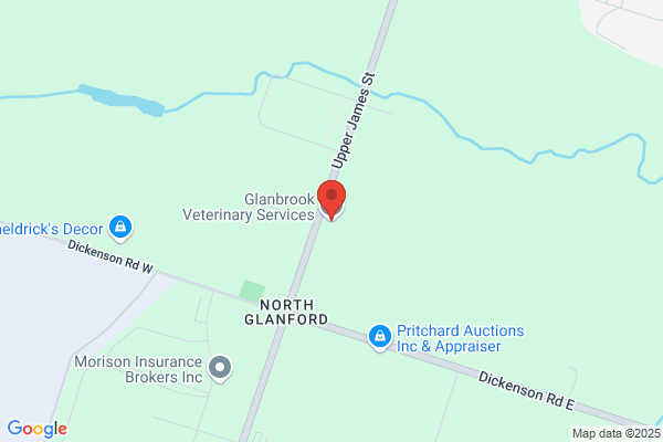 Glanbrook Veterinary Services