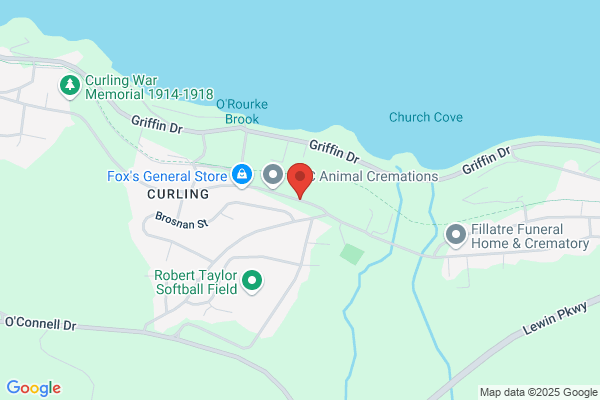 Culliton M General Practitioner