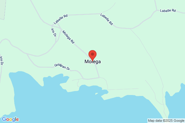 Molega Tours Ltd