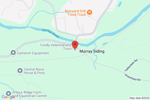 Fundy Veterinarians - Truro